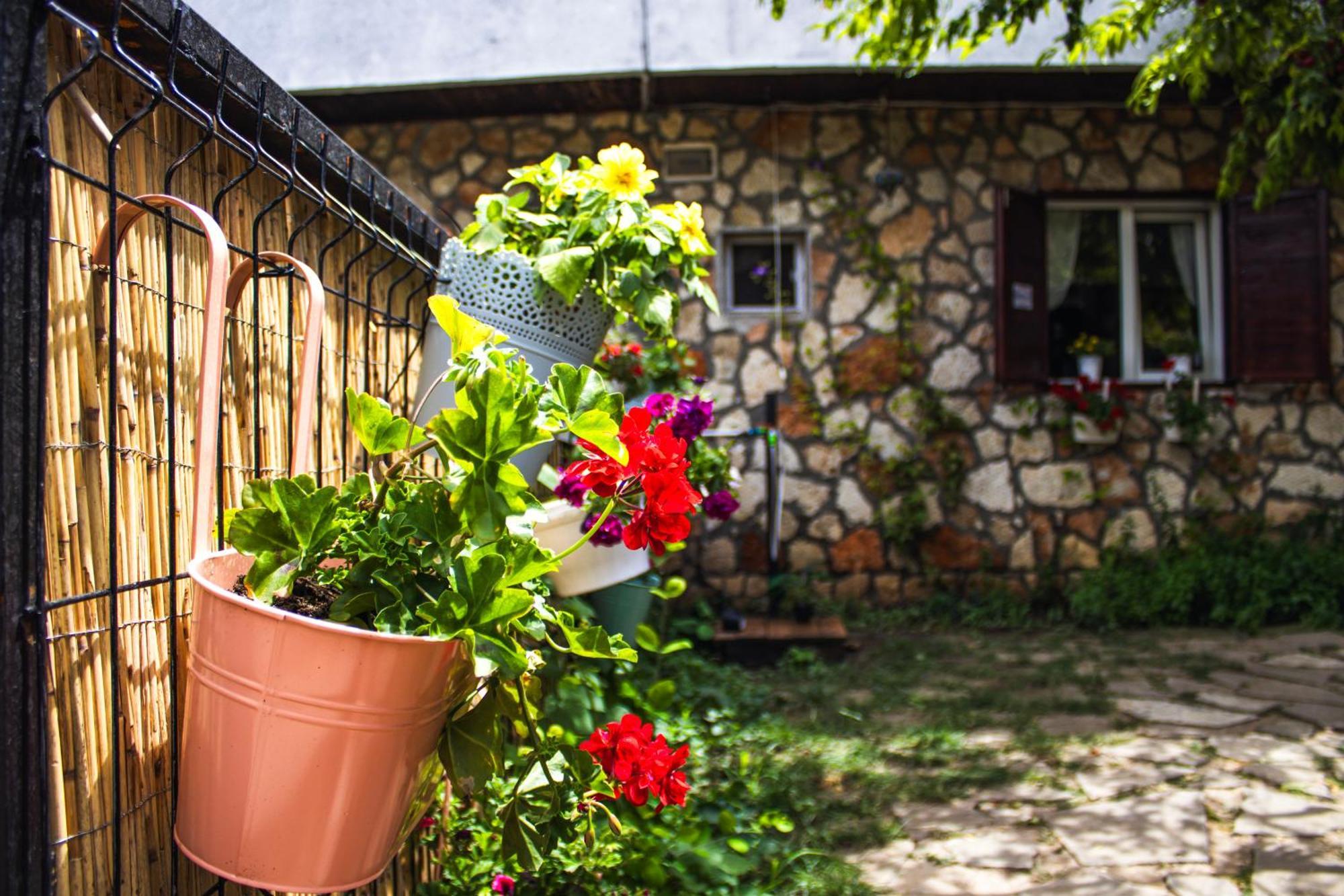 Apartament Bohemian Spirit, Vama Veche Zewnętrze zdjęcie